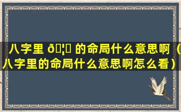 八字里 🦋 的命局什么意思啊（八字里的命局什么意思啊怎么看）